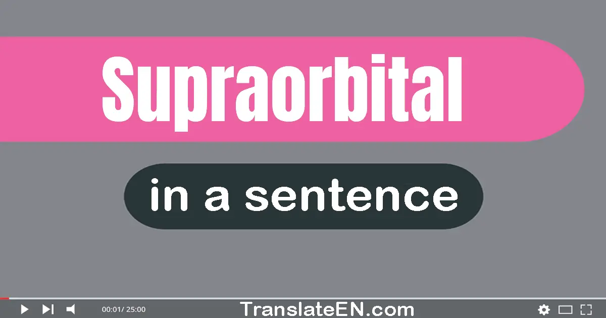 Use "supraorbital" in a sentence | "supraorbital" sentence examples