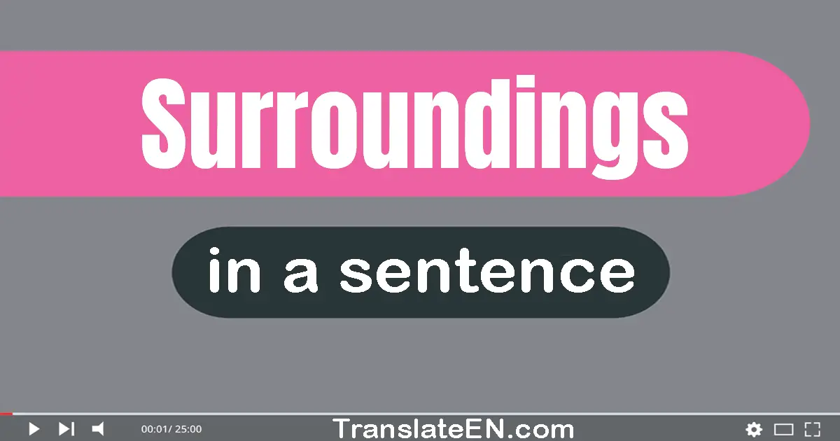 Use "surroundings" in a sentence | "surroundings" sentence examples
