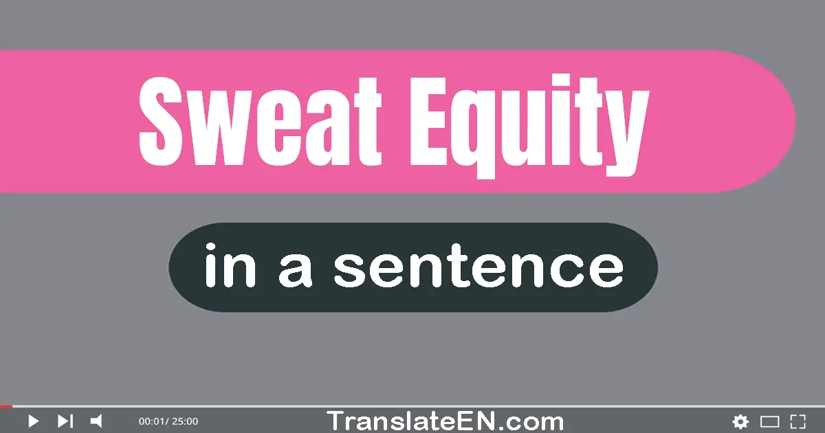 Use "sweat equity" in a sentence | "sweat equity" sentence examples