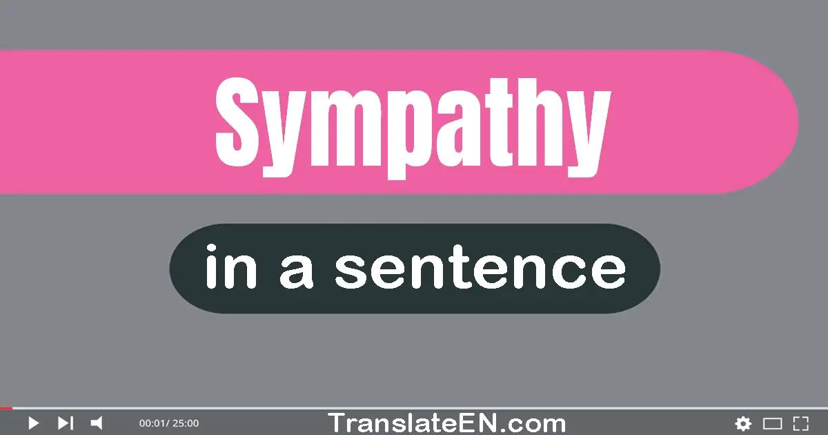 Use "sympathy" in a sentence | "sympathy" sentence examples