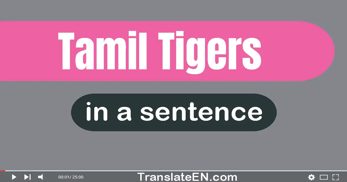 Use "tamil tigers" in a sentence | "tamil tigers" sentence examples