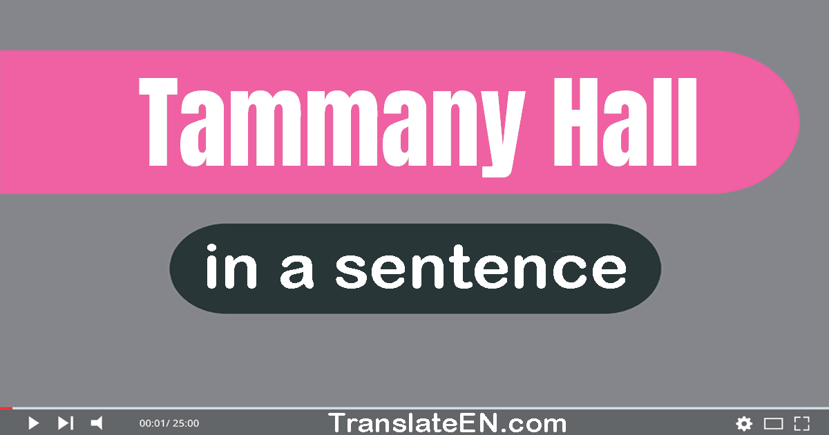 Use "tammany hall" in a sentence | "tammany hall" sentence examples