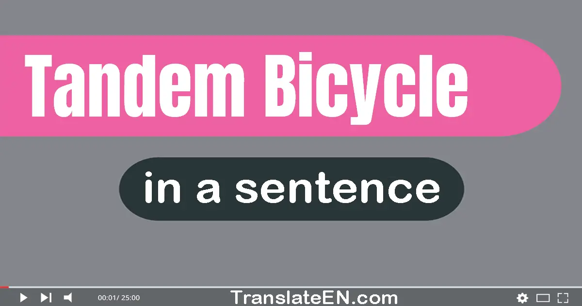Use "tandem bicycle" in a sentence | "tandem bicycle" sentence examples