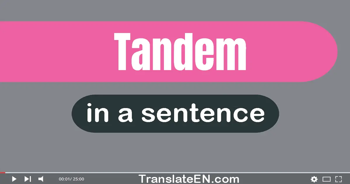Use "tandem" in a sentence | "tandem" sentence examples