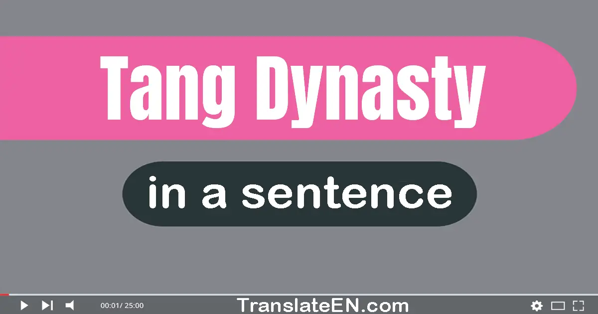 Use "tang dynasty" in a sentence | "tang dynasty" sentence examples