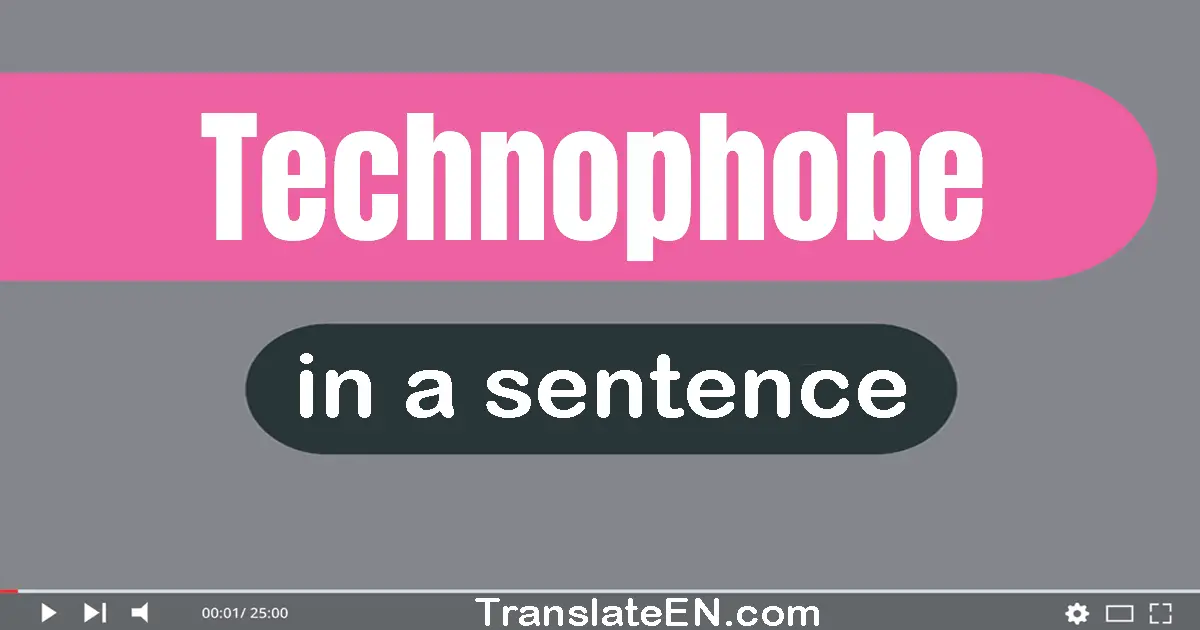Use "technophobe" in a sentence | "technophobe" sentence examples