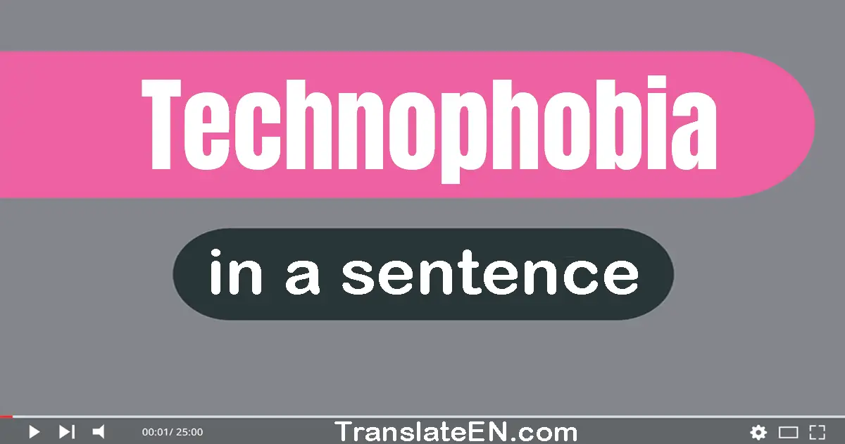Use "technophobia" in a sentence | "technophobia" sentence examples