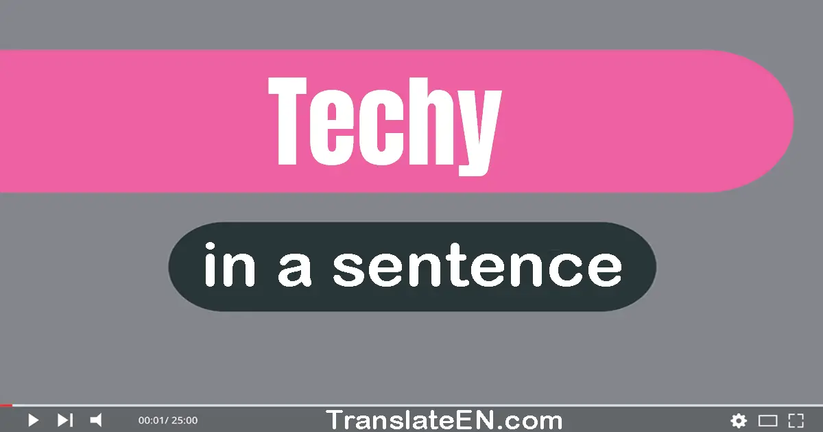 Use "techy" in a sentence | "techy" sentence examples
