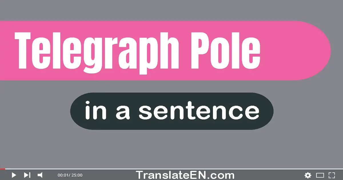 Use "telegraph pole" in a sentence | "telegraph pole" sentence examples