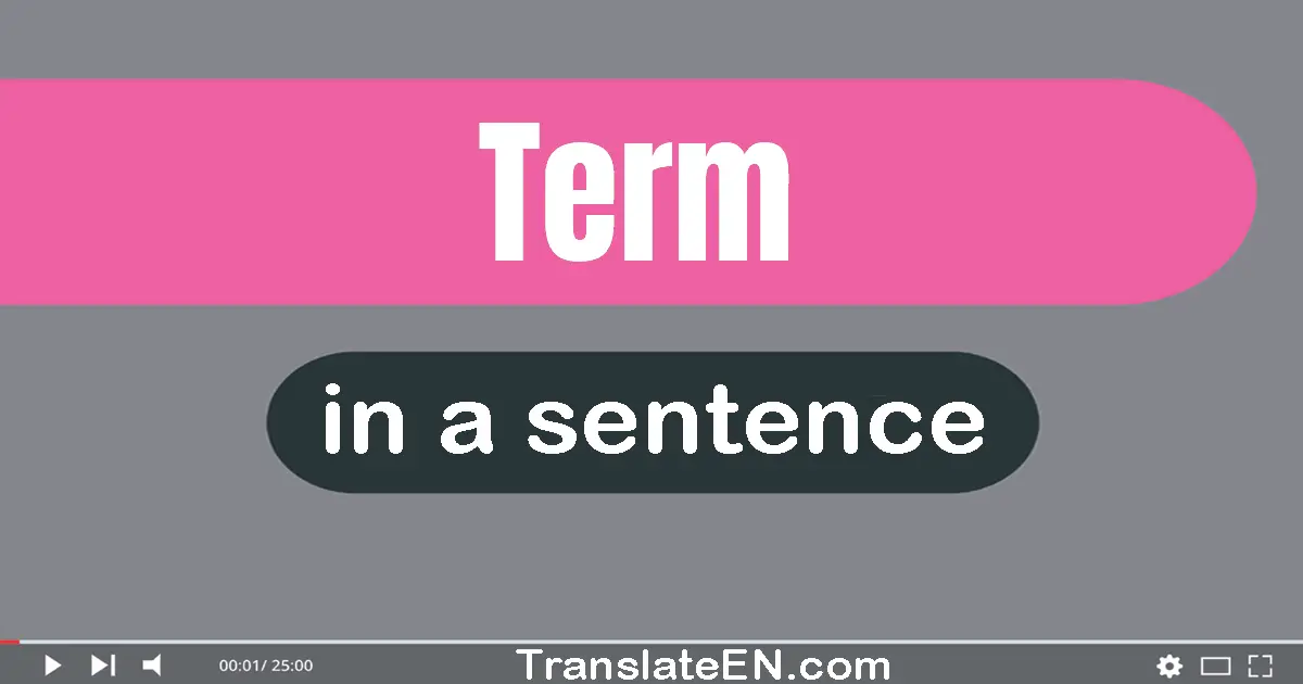 Use "term" in a sentence | "term" sentence examples