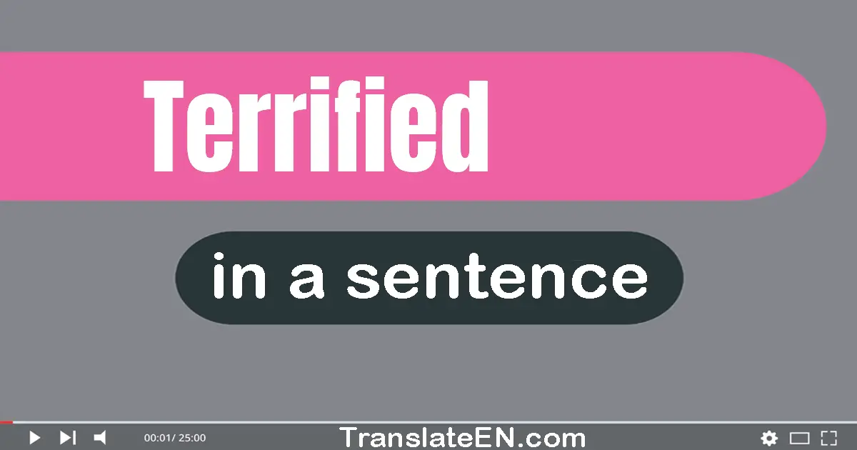 Use "terrified" in a sentence | "terrified" sentence examples