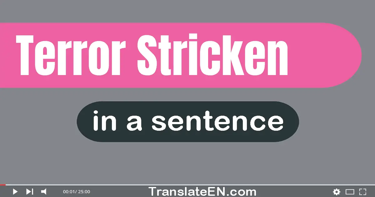 Use "terror-stricken" in a sentence | "terror-stricken" sentence examples