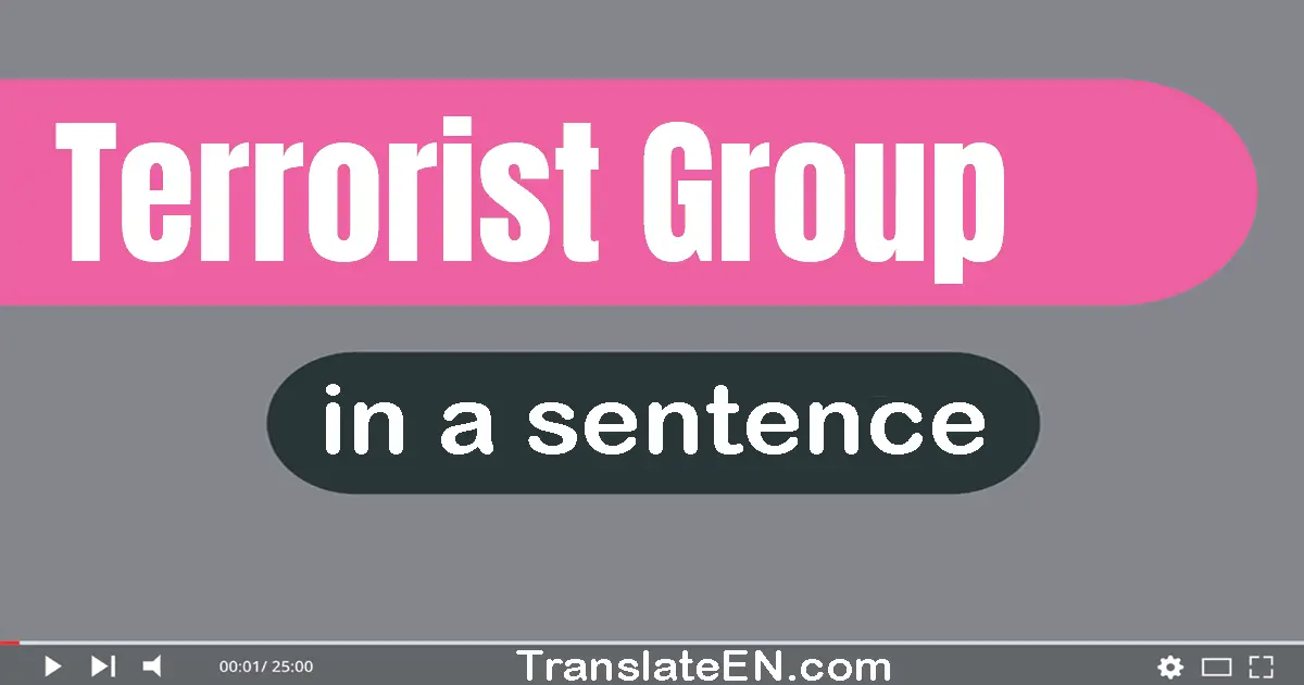 Use "terrorist group" in a sentence | "terrorist group" sentence examples