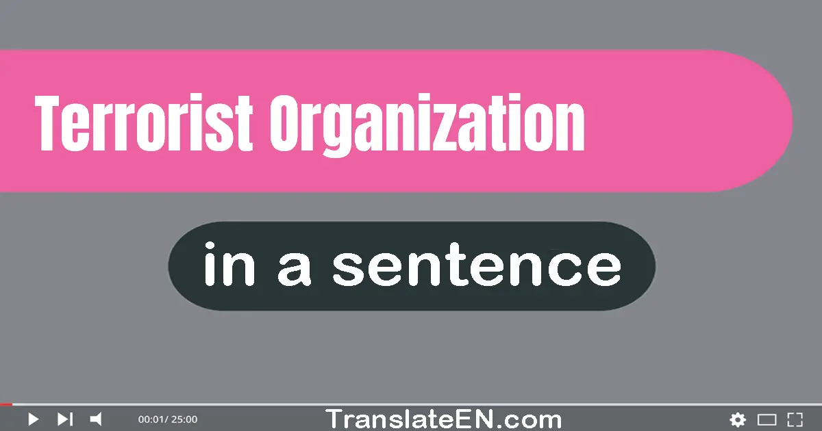 Use "terrorist organization" in a sentence | "terrorist organization" sentence examples