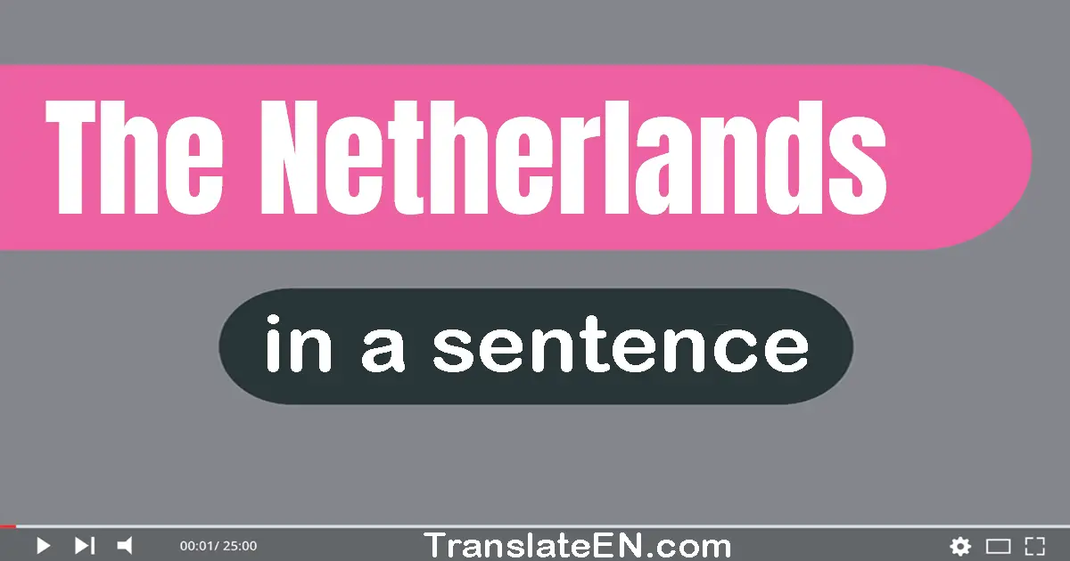 Use "the netherlands" in a sentence | "the netherlands" sentence examples
