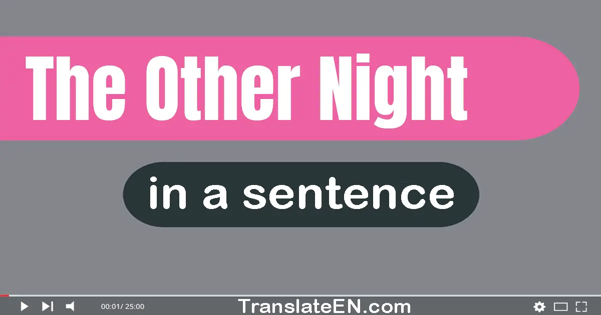 Use "the other night" in a sentence | "the other night" sentence examples