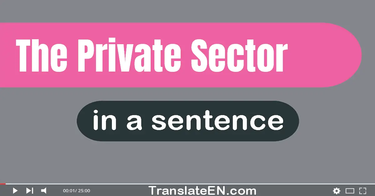 Use "the private sector" in a sentence | "the private sector" sentence examples