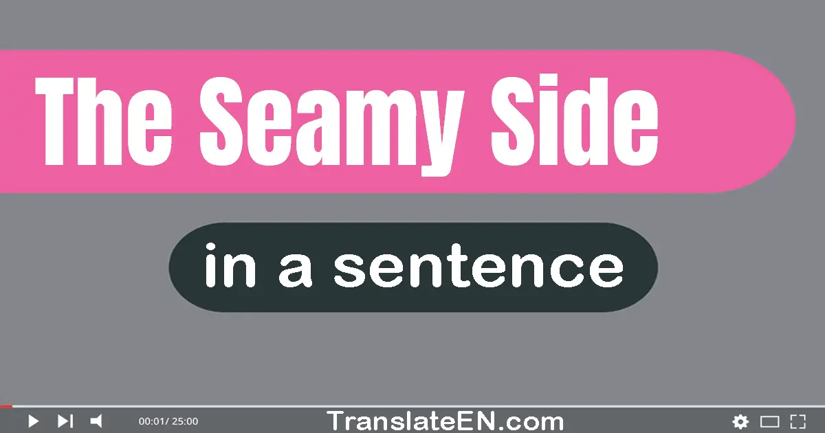 Use "the seamy side" in a sentence | "the seamy side" sentence examples