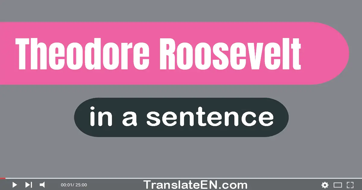 Use "theodore roosevelt" in a sentence | "theodore roosevelt" sentence examples