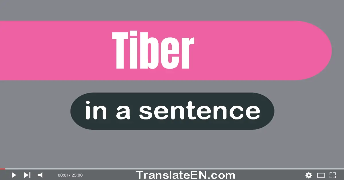 Use "tiber" in a sentence | "tiber" sentence examples