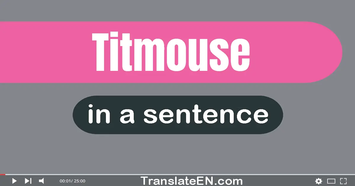 Use "titmouse" in a sentence | "titmouse" sentence examples