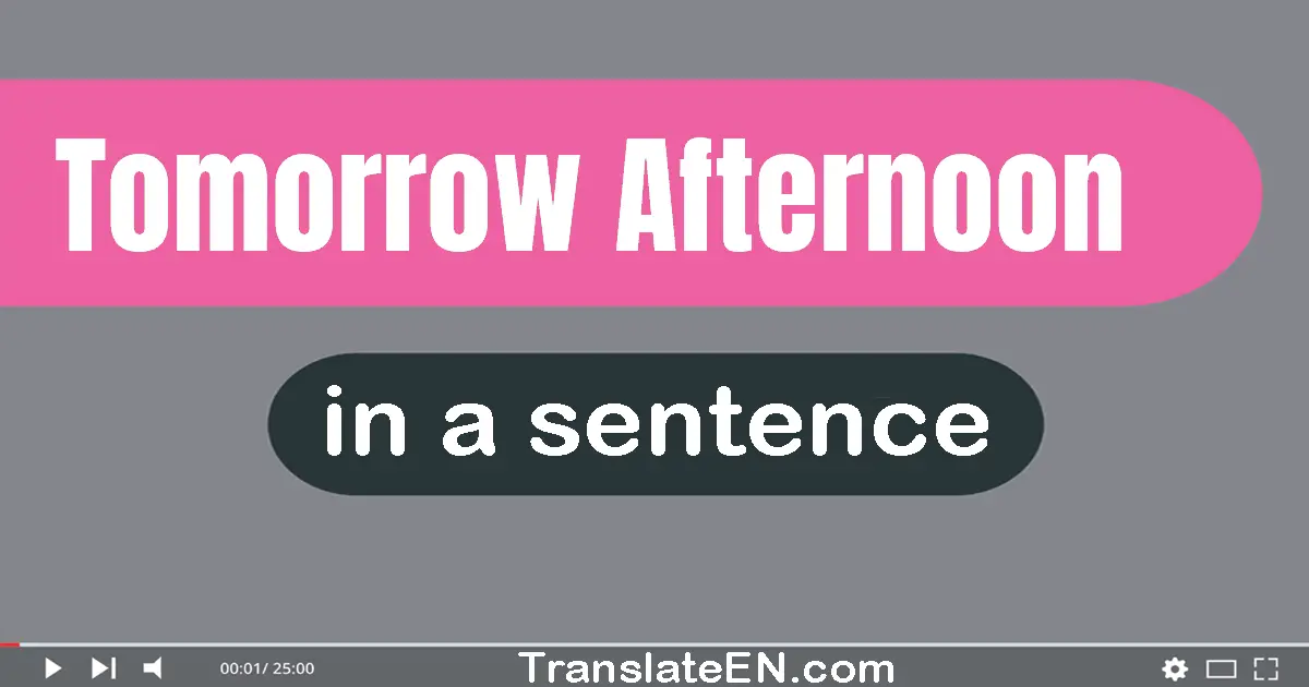 Use "tomorrow afternoon" in a sentence | "tomorrow afternoon" sentence examples