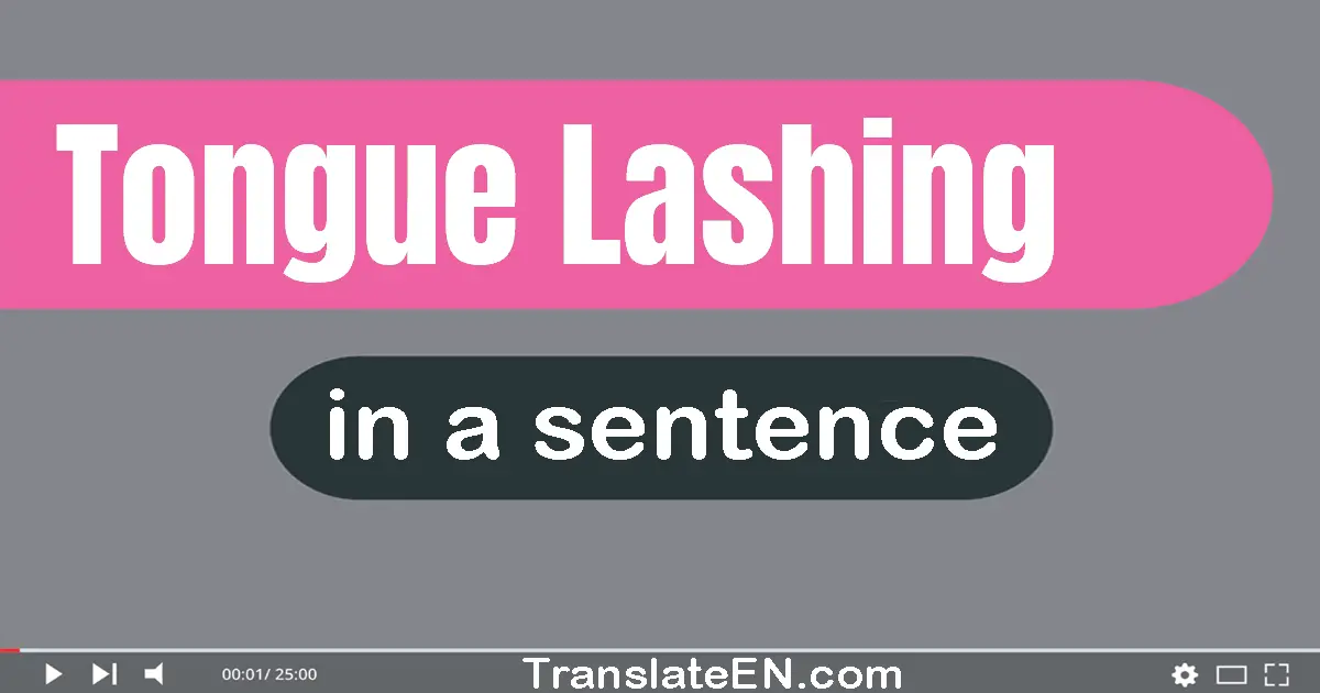 Use "tongue-lashing" in a sentence | "tongue-lashing" sentence examples