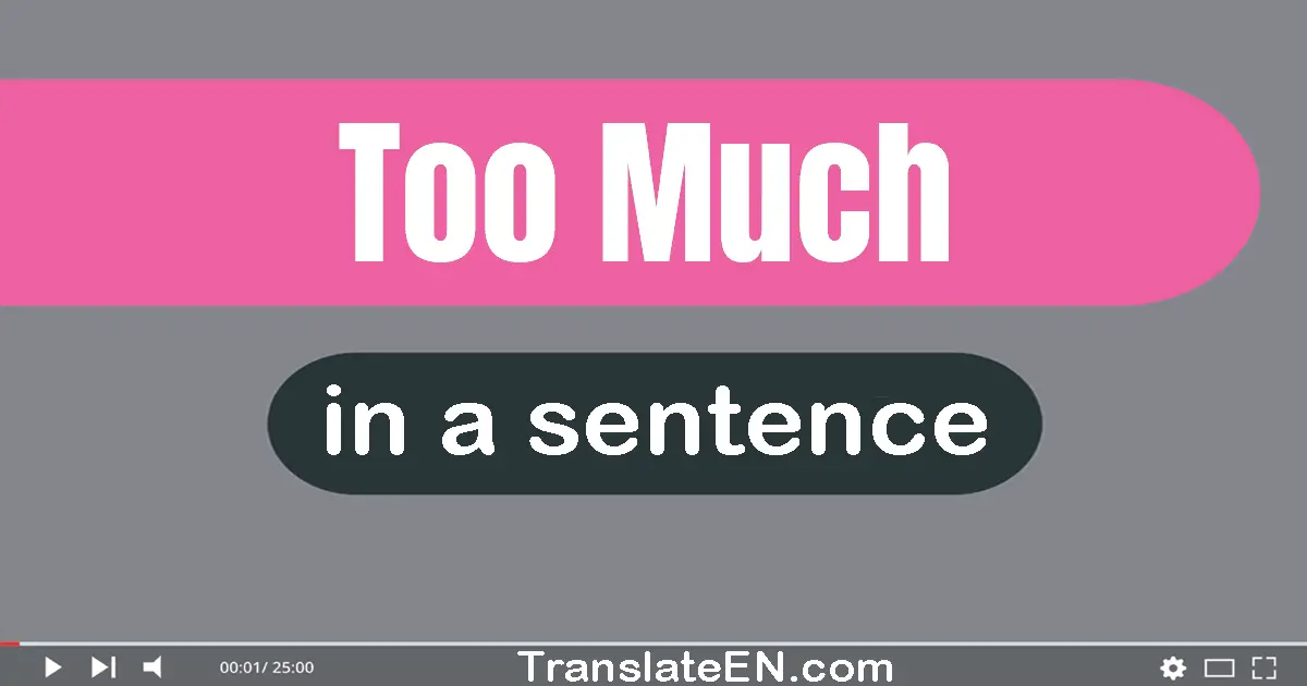 Use "too much" in a sentence | "too much" sentence examples