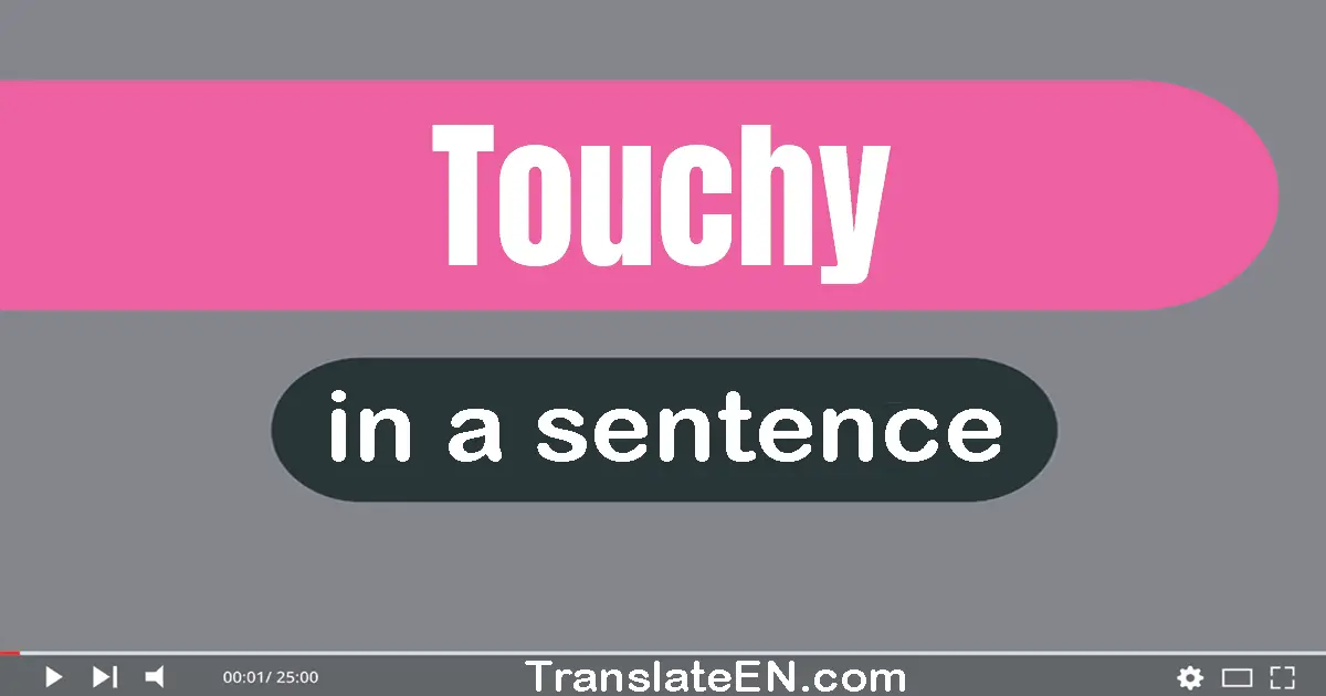 Use "touchy" in a sentence | "touchy" sentence examples