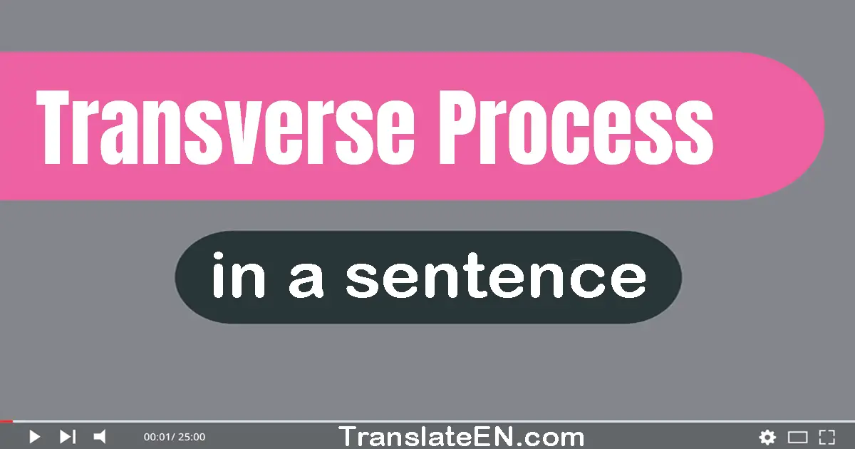 Use "transverse process" in a sentence | "transverse process" sentence examples