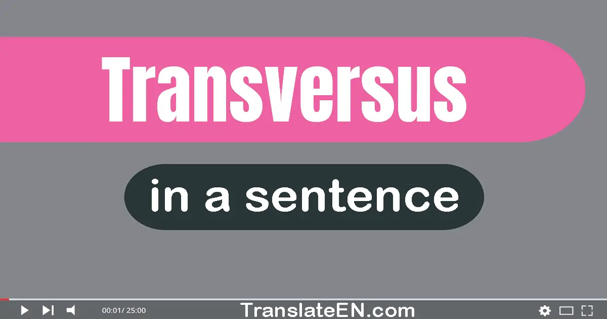 Use "transversus" in a sentence | "transversus" sentence examples