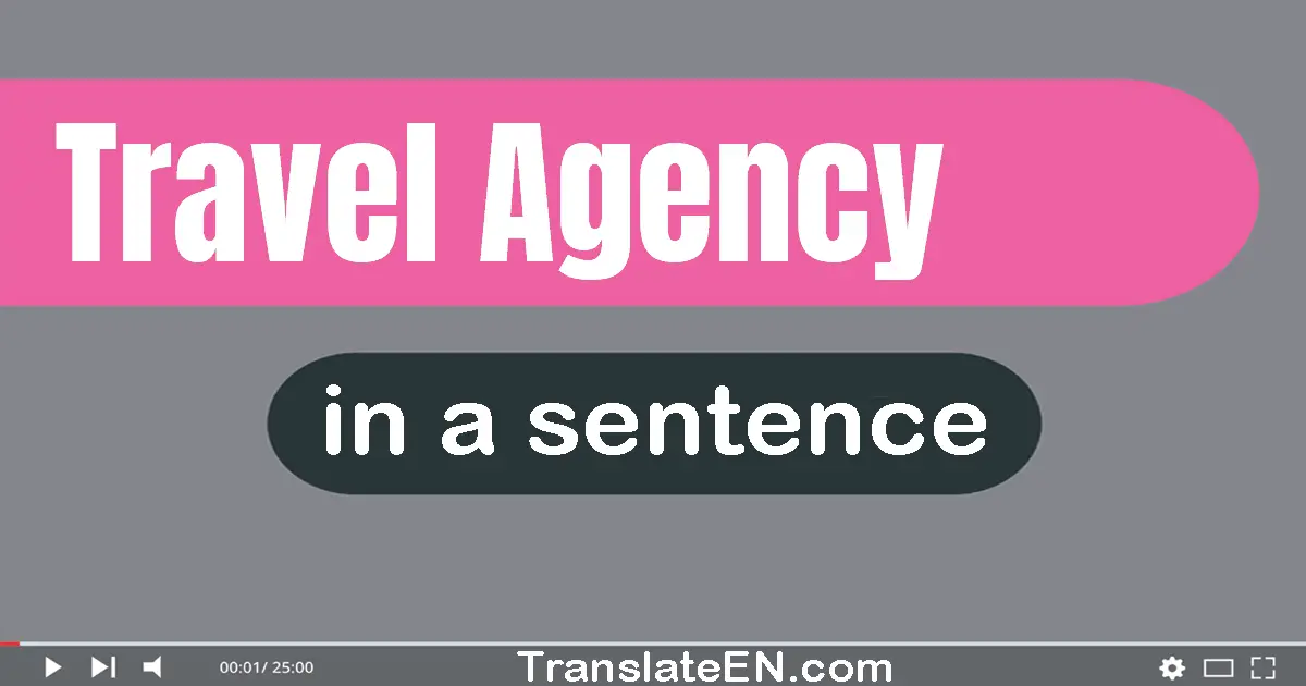 Use "travel agency" in a sentence | "travel agency" sentence examples