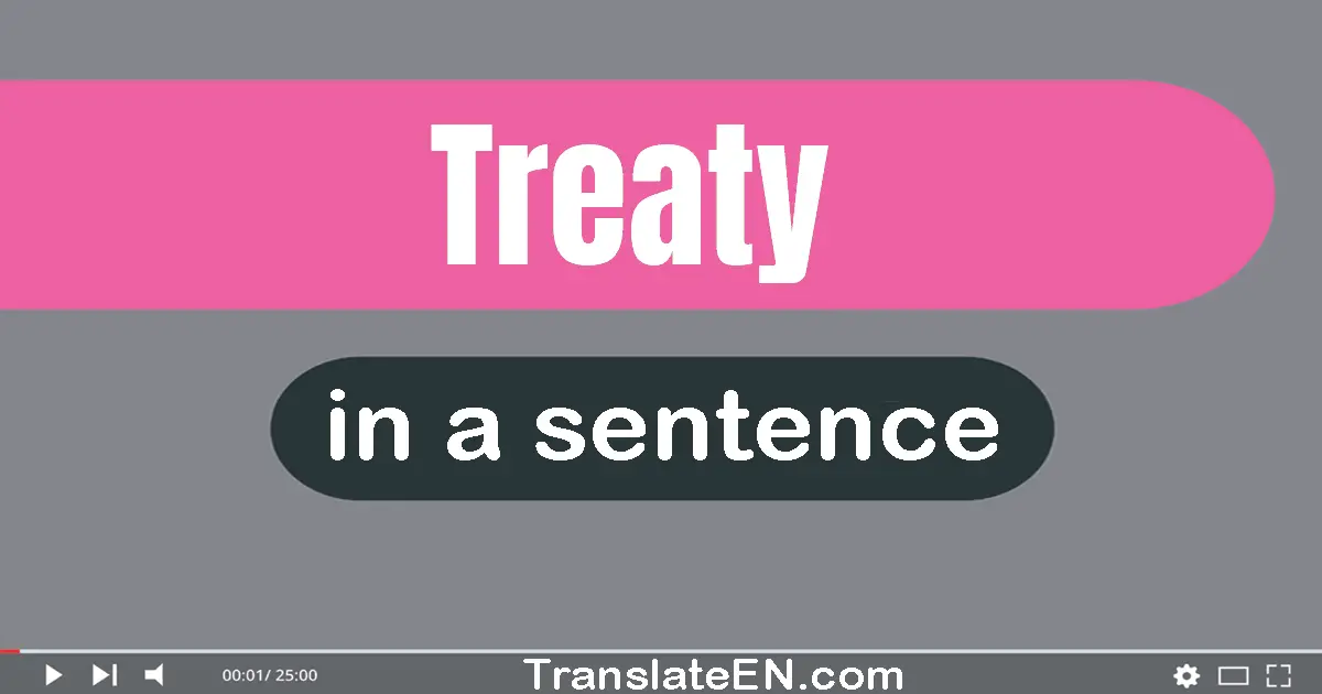 Use "treaty" in a sentence | "treaty" sentence examples