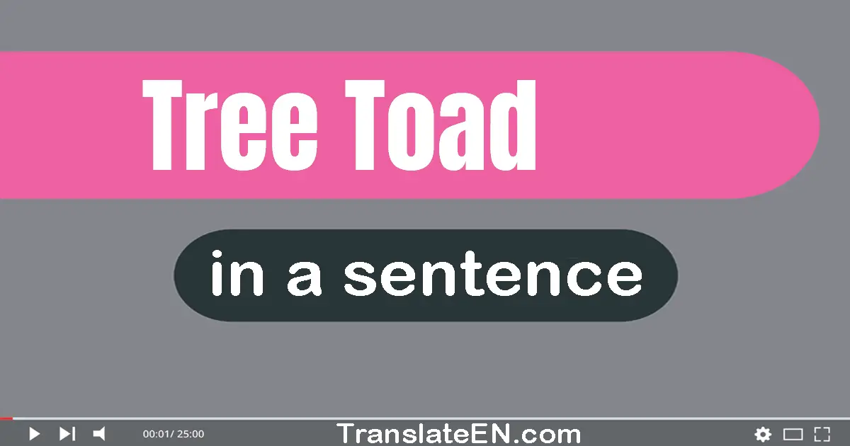 Use "tree toad" in a sentence | "tree toad" sentence examples