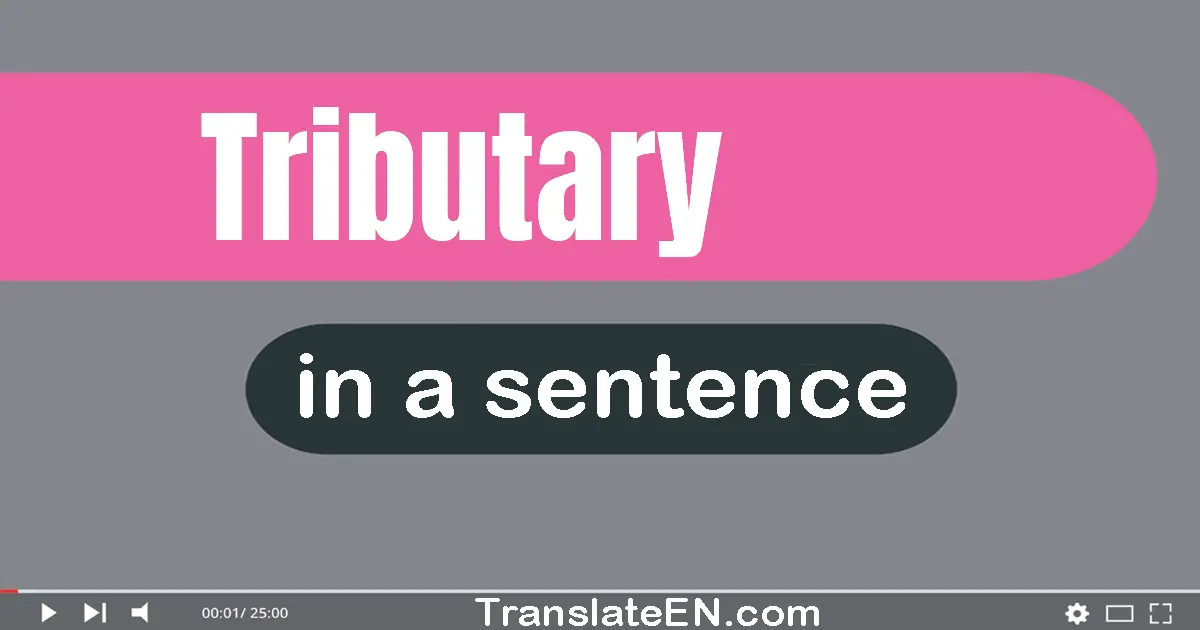 Use "tributary" in a sentence | "tributary" sentence examples