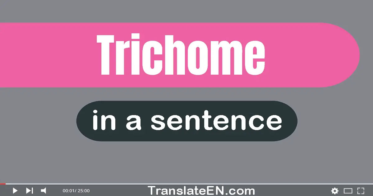 Use "trichome" in a sentence | "trichome" sentence examples