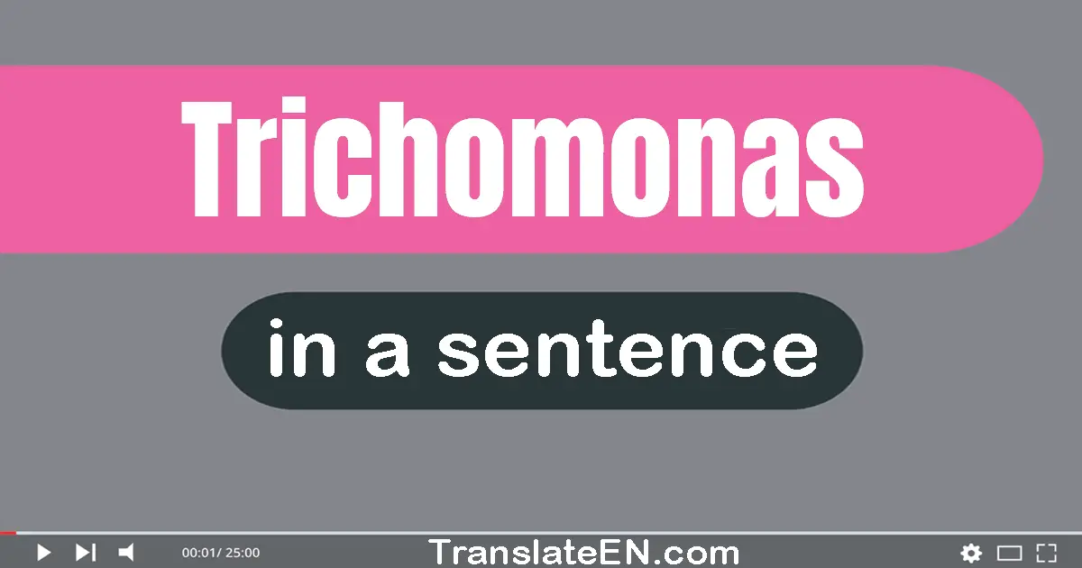 Use "trichomonas" in a sentence | "trichomonas" sentence examples