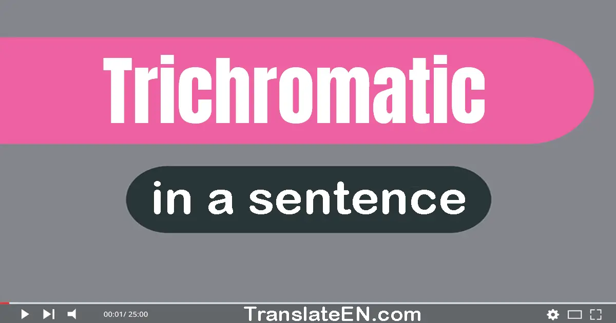 Use "trichromatic" in a sentence | "trichromatic" sentence examples