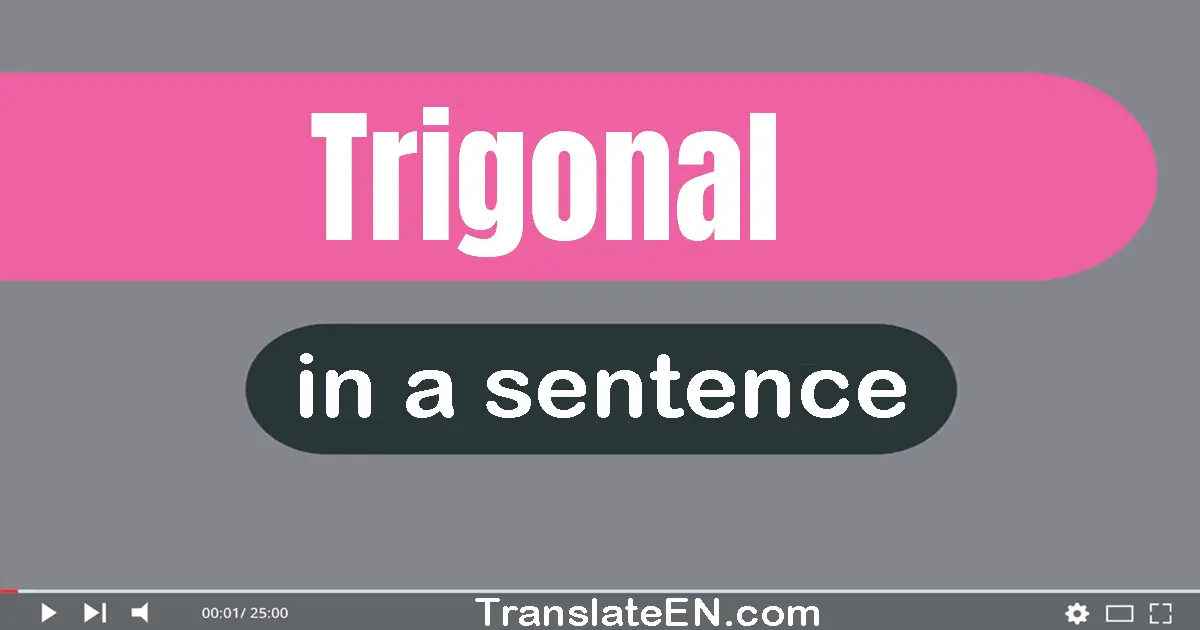 Use "trigonal" in a sentence | "trigonal" sentence examples