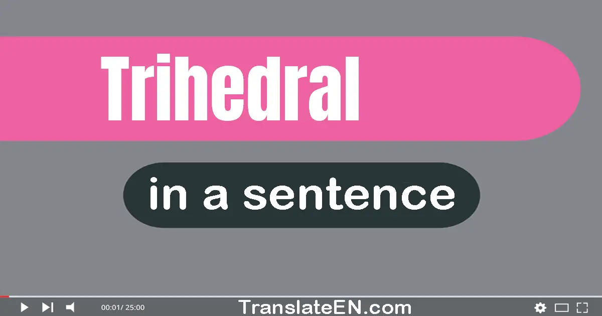 Use "trihedral" in a sentence | "trihedral" sentence examples