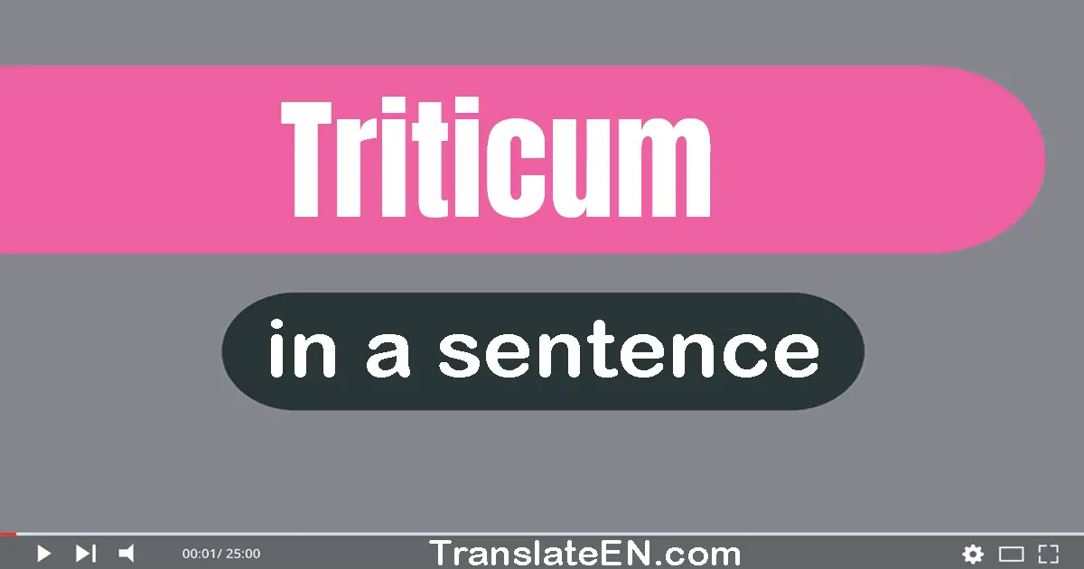 Use "triticum" in a sentence | "triticum" sentence examples