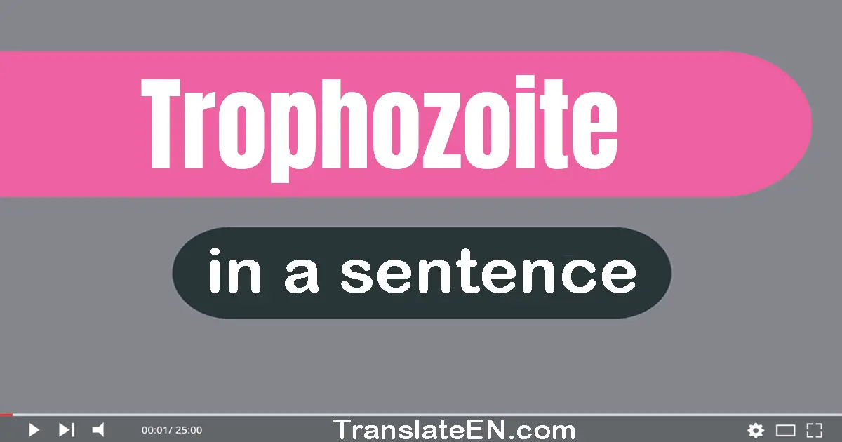 Use "trophozoite" in a sentence | "trophozoite" sentence examples