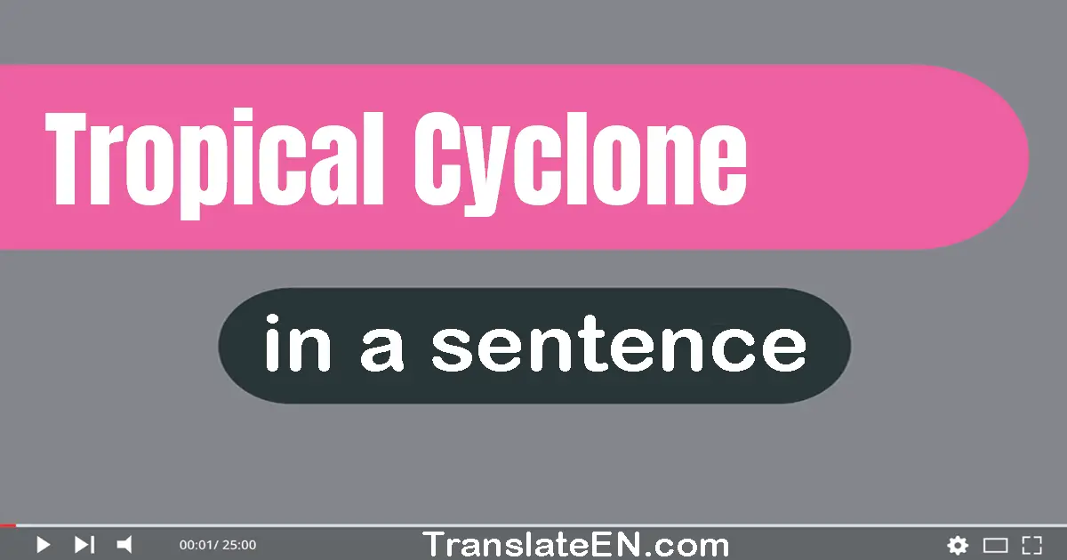 Use "tropical cyclone" in a sentence | "tropical cyclone" sentence examples