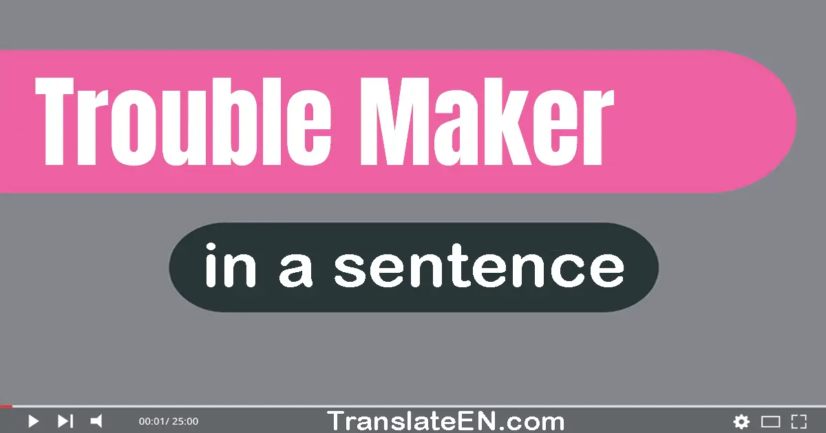 Use "trouble maker" in a sentence | "trouble maker" sentence examples