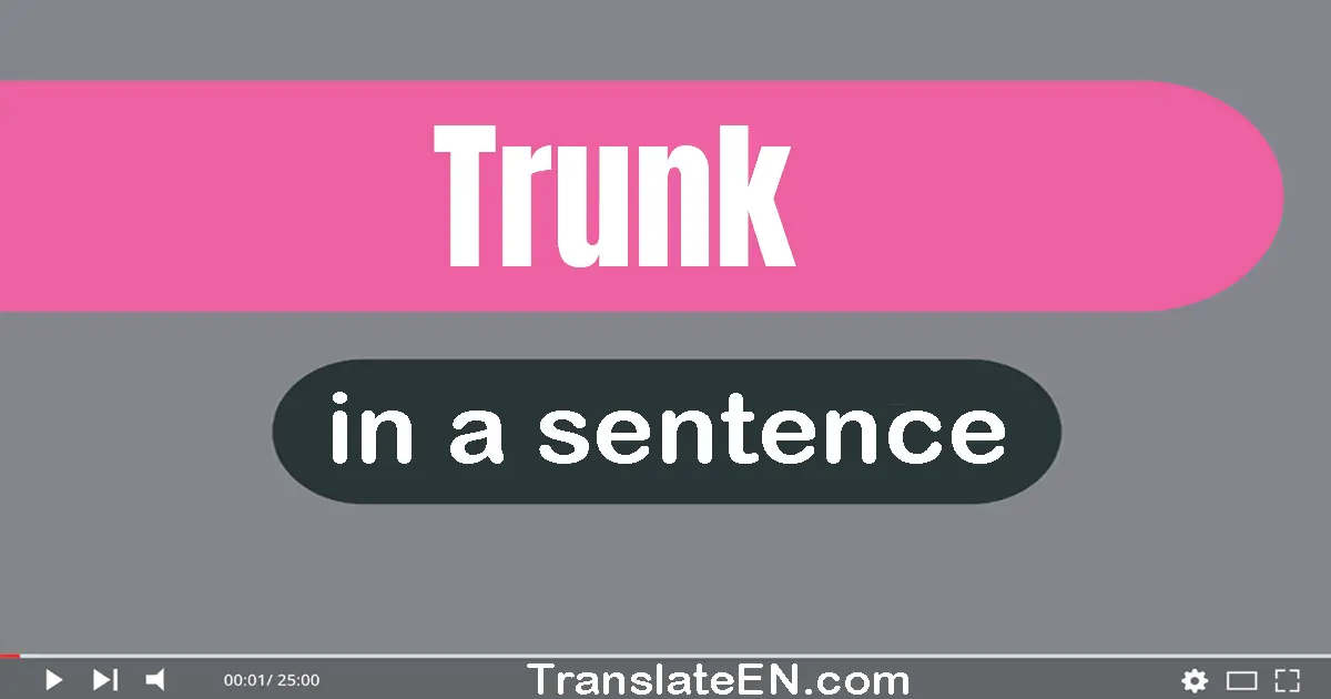 Use "trunk" in a sentence | "trunk" sentence examples