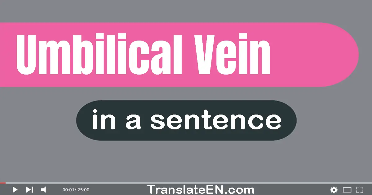Use "umbilical vein" in a sentence | "umbilical vein" sentence examples