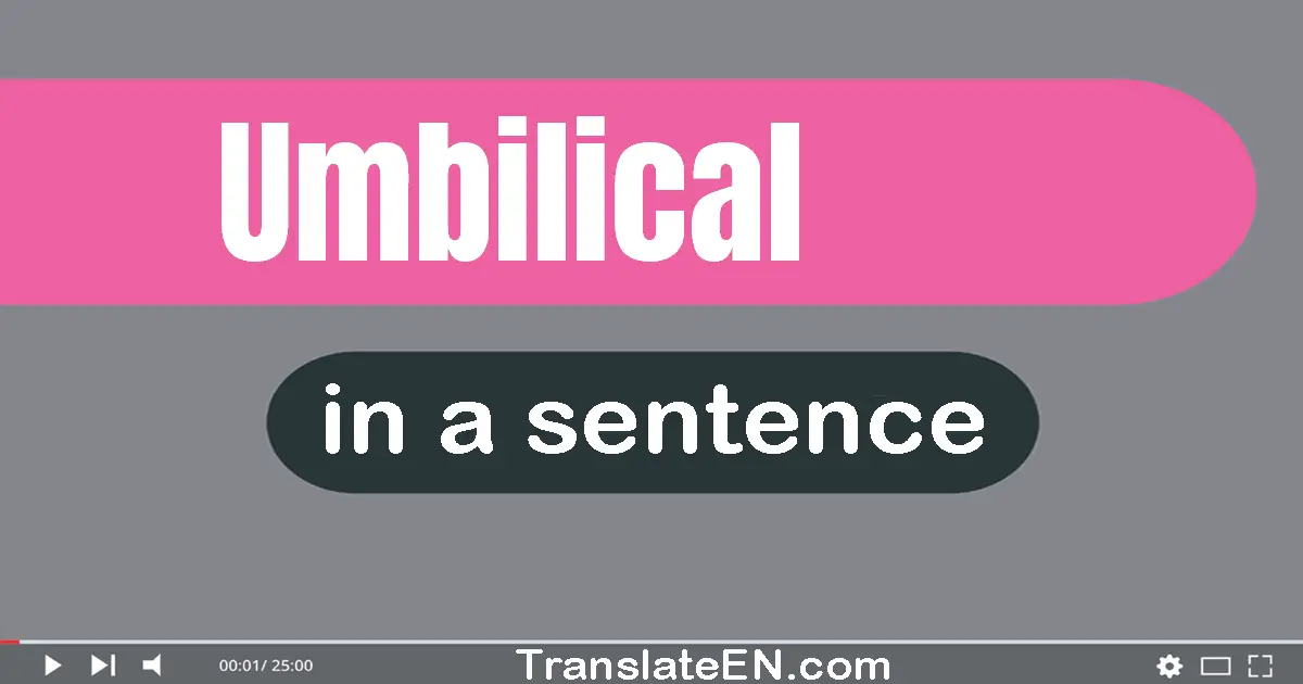 Use "umbilical" in a sentence | "umbilical" sentence examples