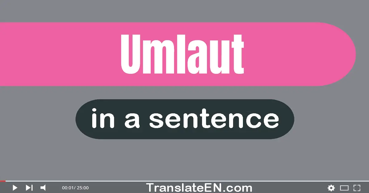 Use "umlaut" in a sentence | "umlaut" sentence examples