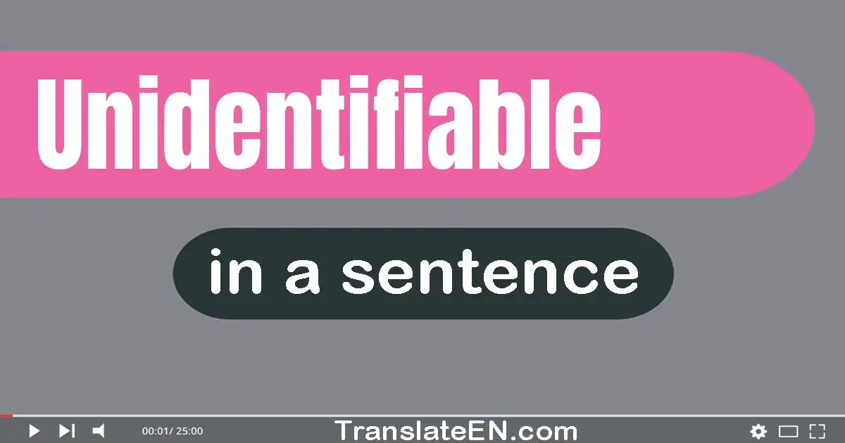 Use "unidentifiable" in a sentence | "unidentifiable" sentence examples