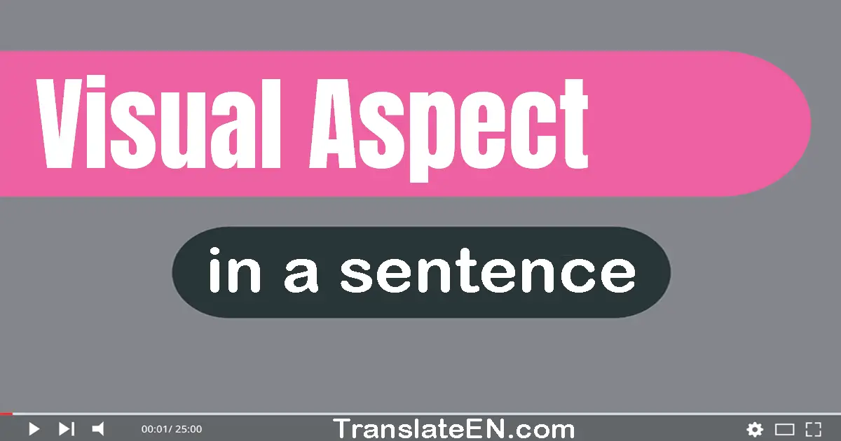 Use "visual aspect" in a sentence | "visual aspect" sentence examples